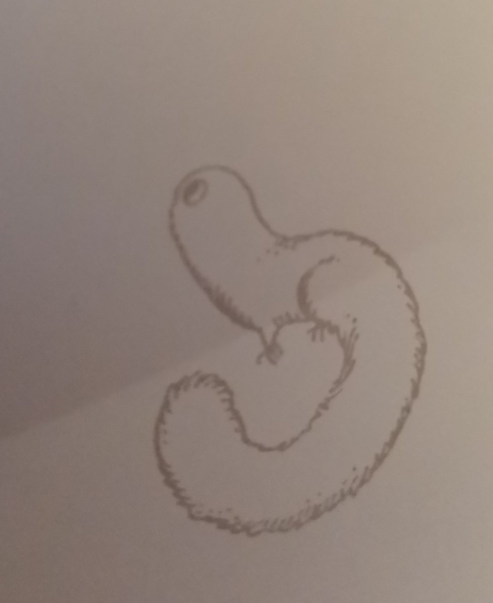 Kai23🍉🌟🌱ceo of brushbug tweet media