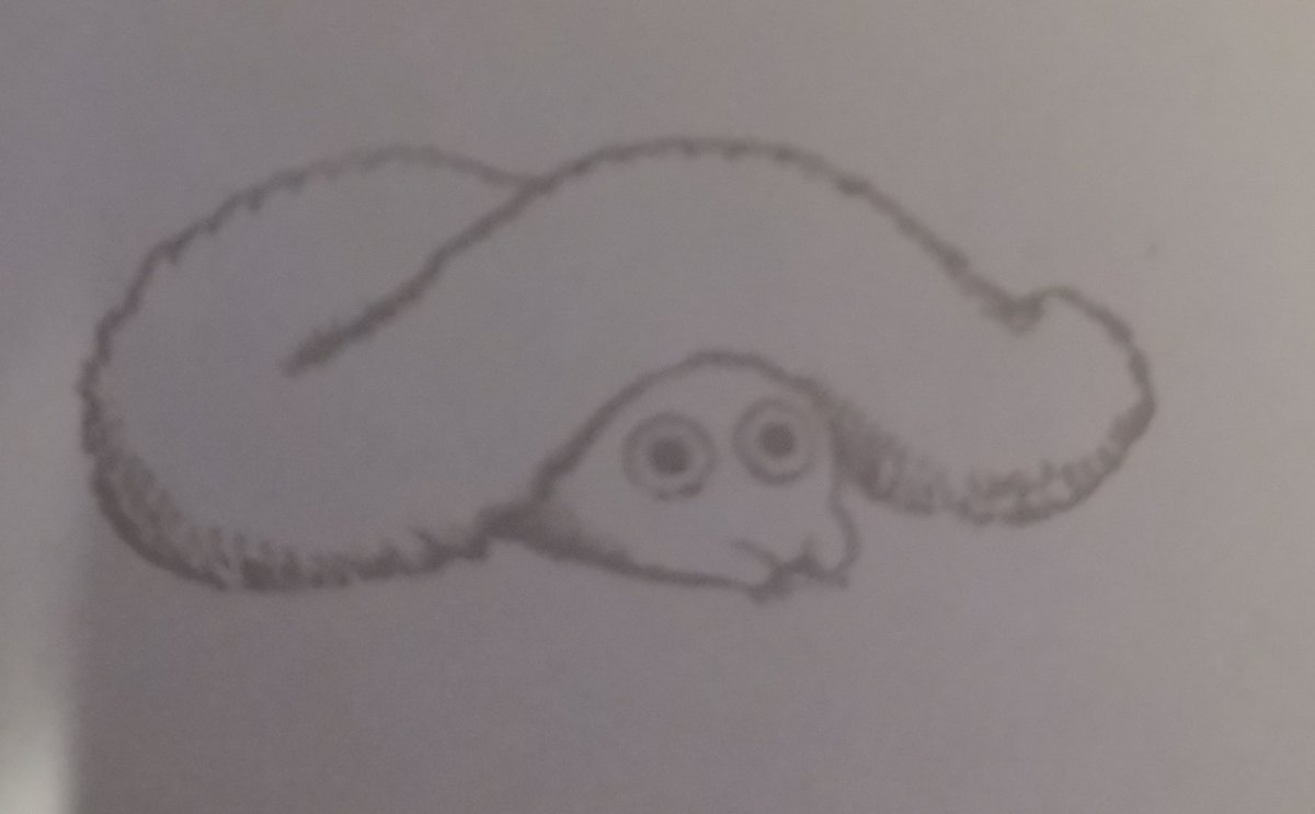 Kai23🍉🌟🌱ceo of brushbug tweet media