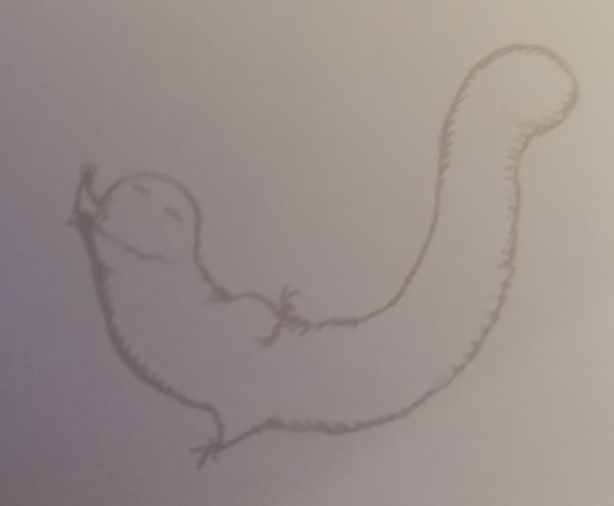 Kai23🍉🌟🌱ceo of brushbug tweet media