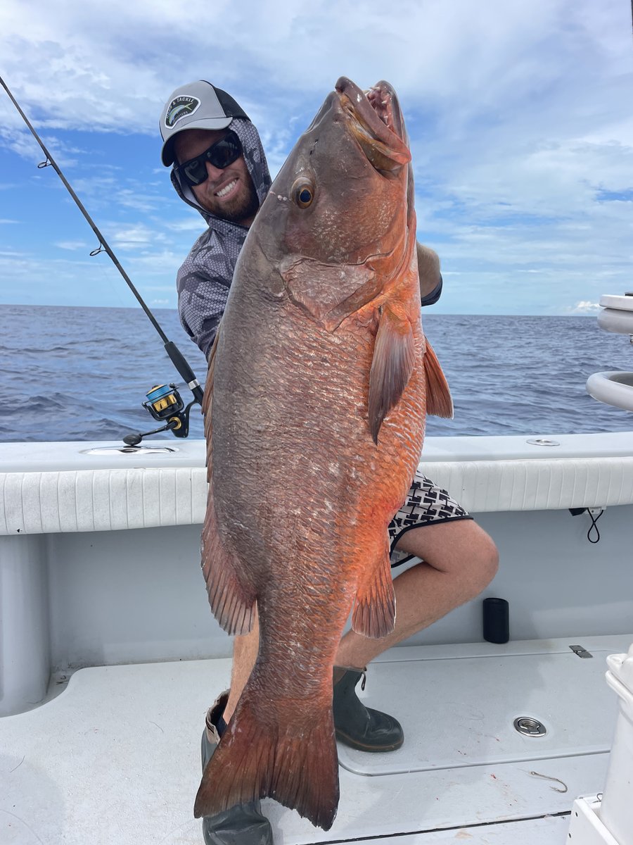 reel_guides's tweet photo. Florida Keys bringing the giants 🎣🔥
#FloridaKeys #Fishing #BigCatch https://t.co/O61UElLjBR