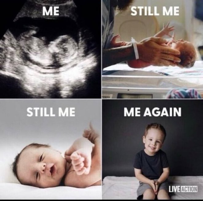 Tracey Lynn tweet media