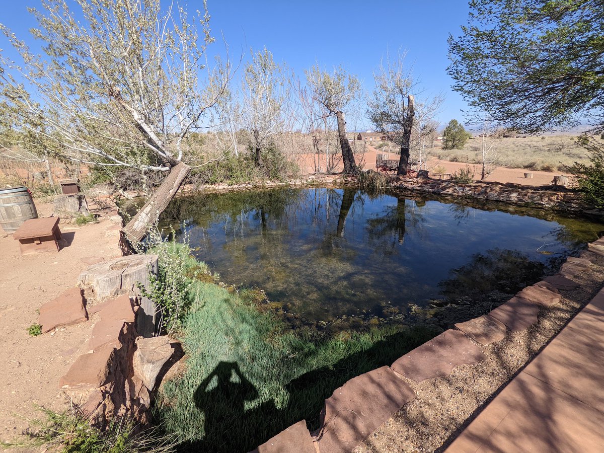 EverydayParks's tweet photo. The national monument of the week is Pipe Spring National Monument!

4.9/5 stars (18 ratings)

wiki🧵 below https://t.co/6AZcgSqoPi