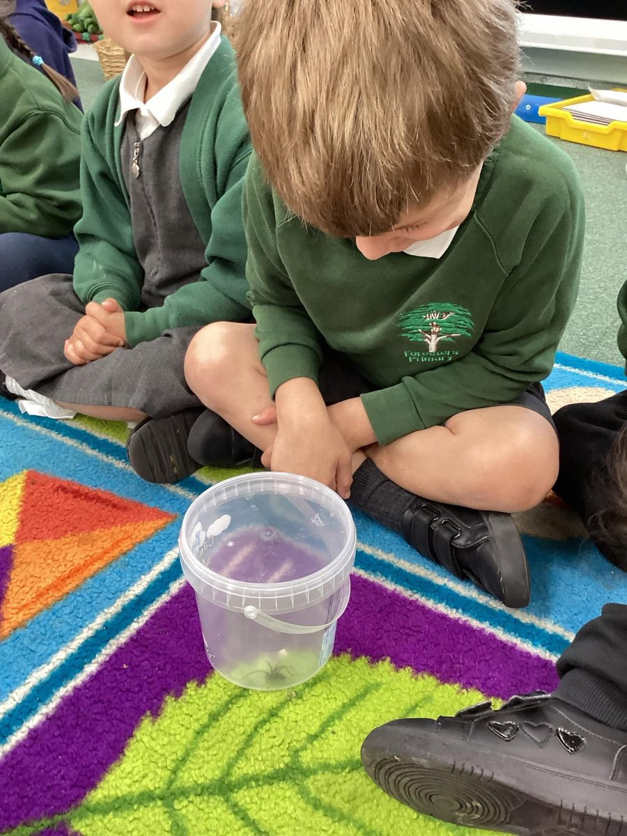 ForestersPS's tweet image. Cherry Class 🌿🕷️
What an exciting week! We discovered a massive spider, practised matching numerals to quantities, and wrote our word of the week: bat 🦇
We also got our hands dirty and planted our very own herb garden!
#CherryClass #EYFS #LearningThroughPlay