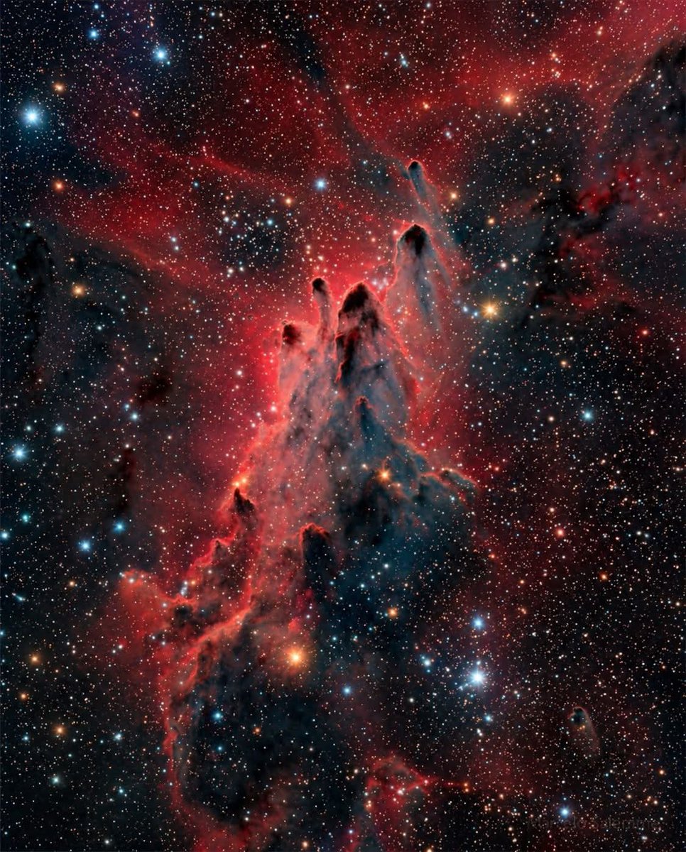 Space Vibe X tweet media