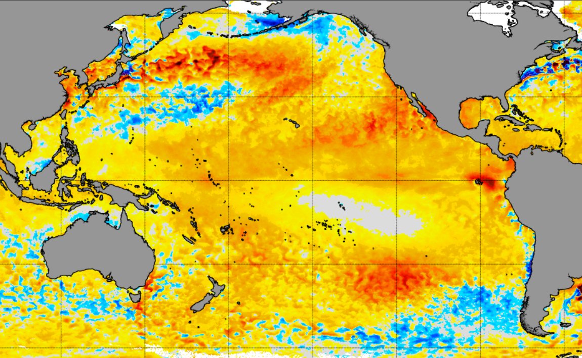 Matheus R tweet media