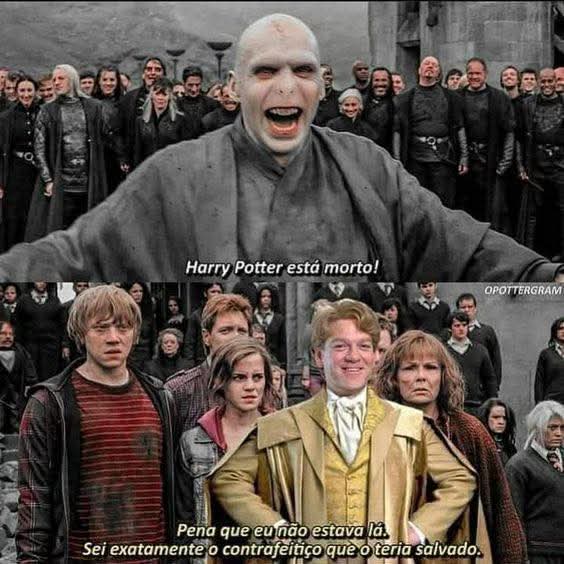 Acervo Romione 🐕🦦 tweet media