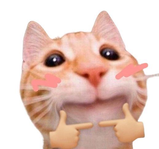 ᥎ꫀᥣเᥒ🐻 tweet media