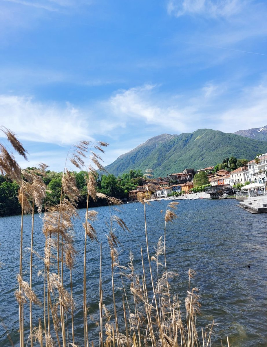 unapersona5072's tweet photo. 2/2
L’ho assaggiata a fine aprile, ma l’ideale sarebbe gustarla in una nebbiosa giornata autunnale, con una tazza di tè caldo, lì in riva al lago, nel silenzio interrotto solo dal rumore delle onde.
E tu come la mangeresti la #fugascina?
#lagodiMergozzo
📷mie #Unatour 🐞 https://t.co/ADPjyZVXhV