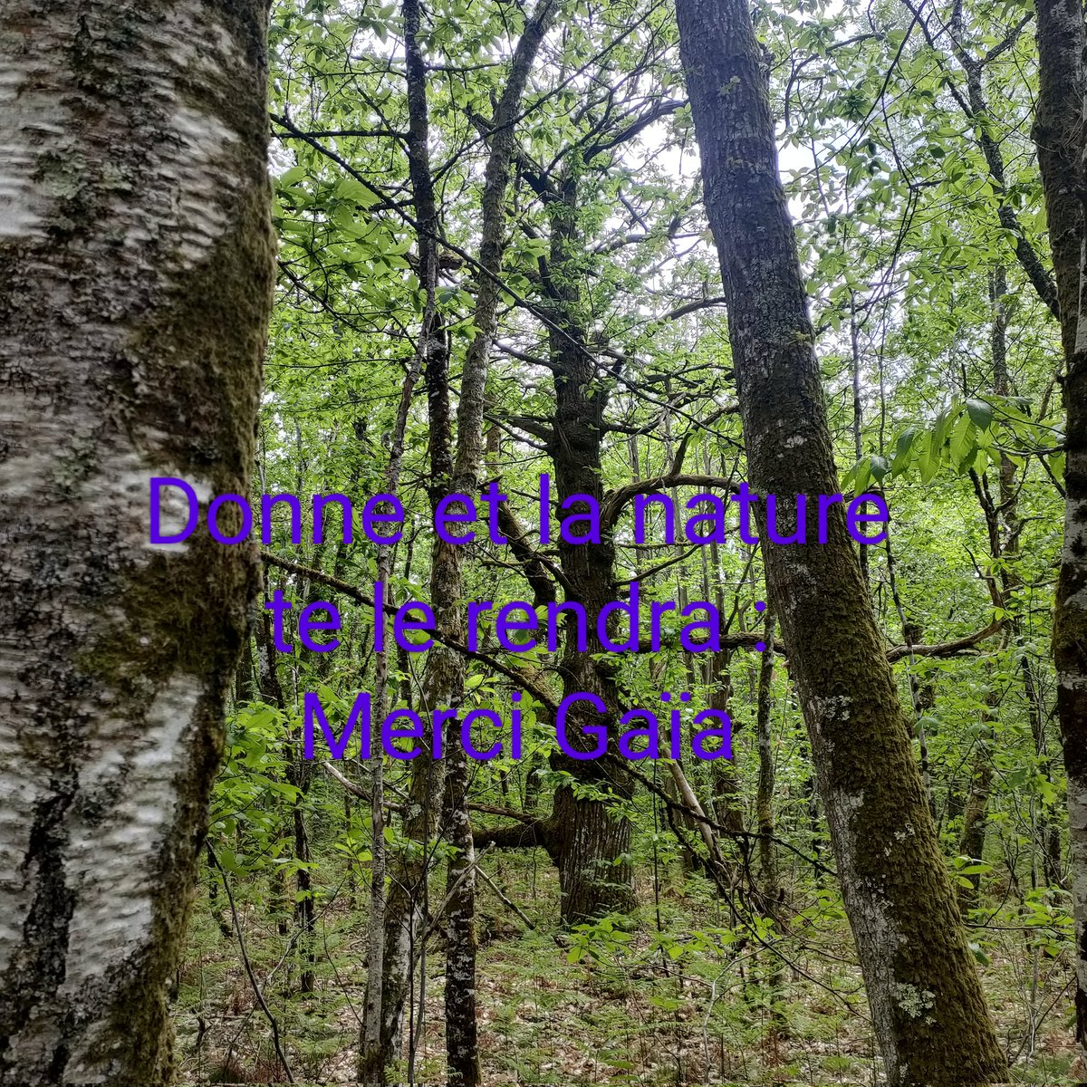 En couple 😍 pour votre plaisir et le notre. tweet media