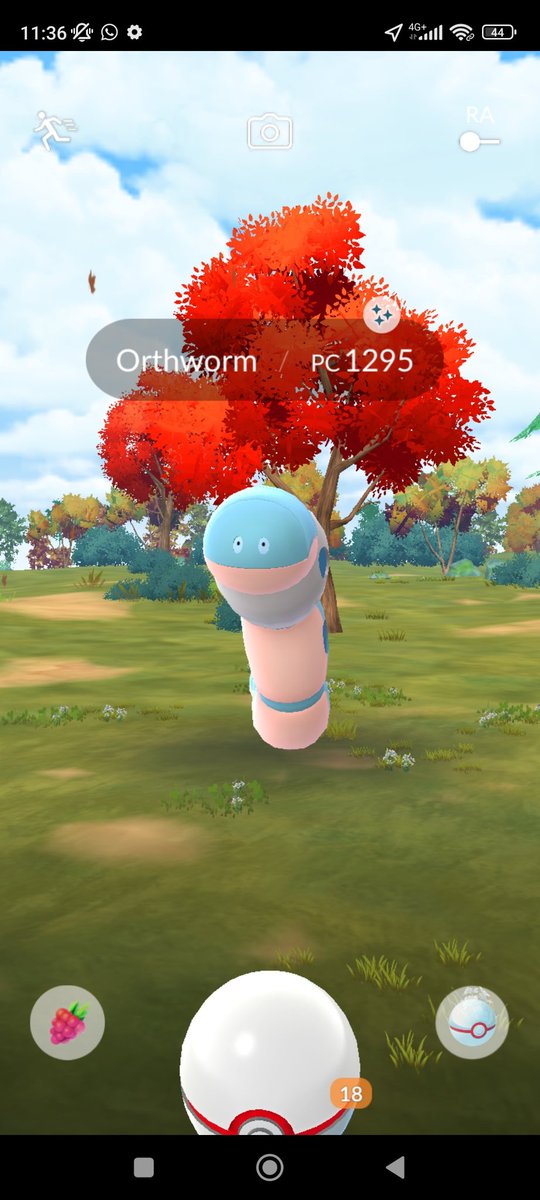 MegaMario92's tweet photo. @PokemonGoApp ✅ https://t.co/UcuLC8OWOW