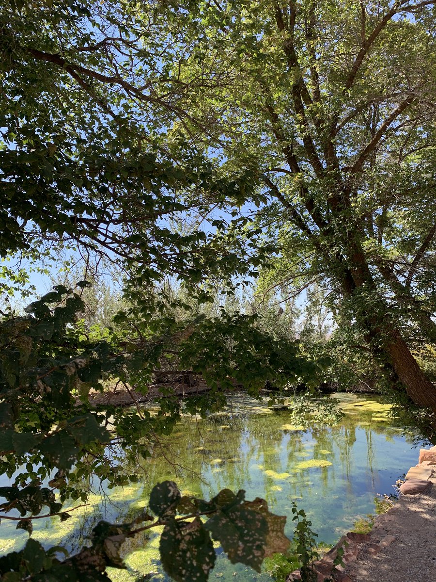 EverydayParks's tweet photo. Administered by the National Park Service, Pipe Spring was listed on the National Register of Historic Places on October 15, 1966, and the boundaries of the Pipe Spring National Monument Historic District (a portion of the monument) were expanded in October 2000. https://t.co/7ErKkMCMPl