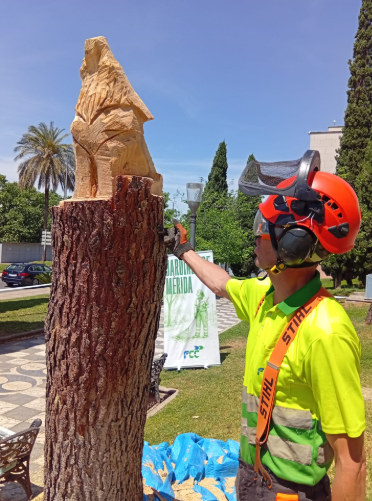 CuidamosMerida's tweet photo. 🌲¡Arte con nuestros pinos afectados por el temporal! Arranca una actuación especial en la Rotonda de la Loba junto a Lupe Arévalo, especialista nacional. Dos troncos dañados se transformarán en esculturas de 3 metros inspiradas en el Guadiana: Guadi y Anas 🐺🐦 #CuidamosMérida https://t.co/gu49rGaKmj