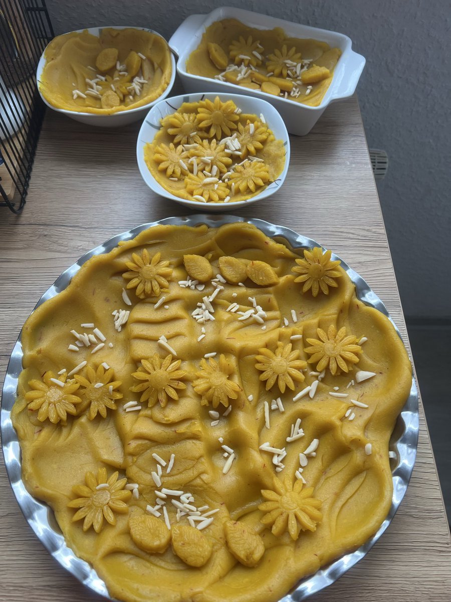 hamideh 2024🎒🛳️ tweet media