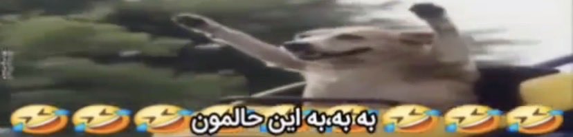 کار مردم ایران تا آخر هفته تمام است.