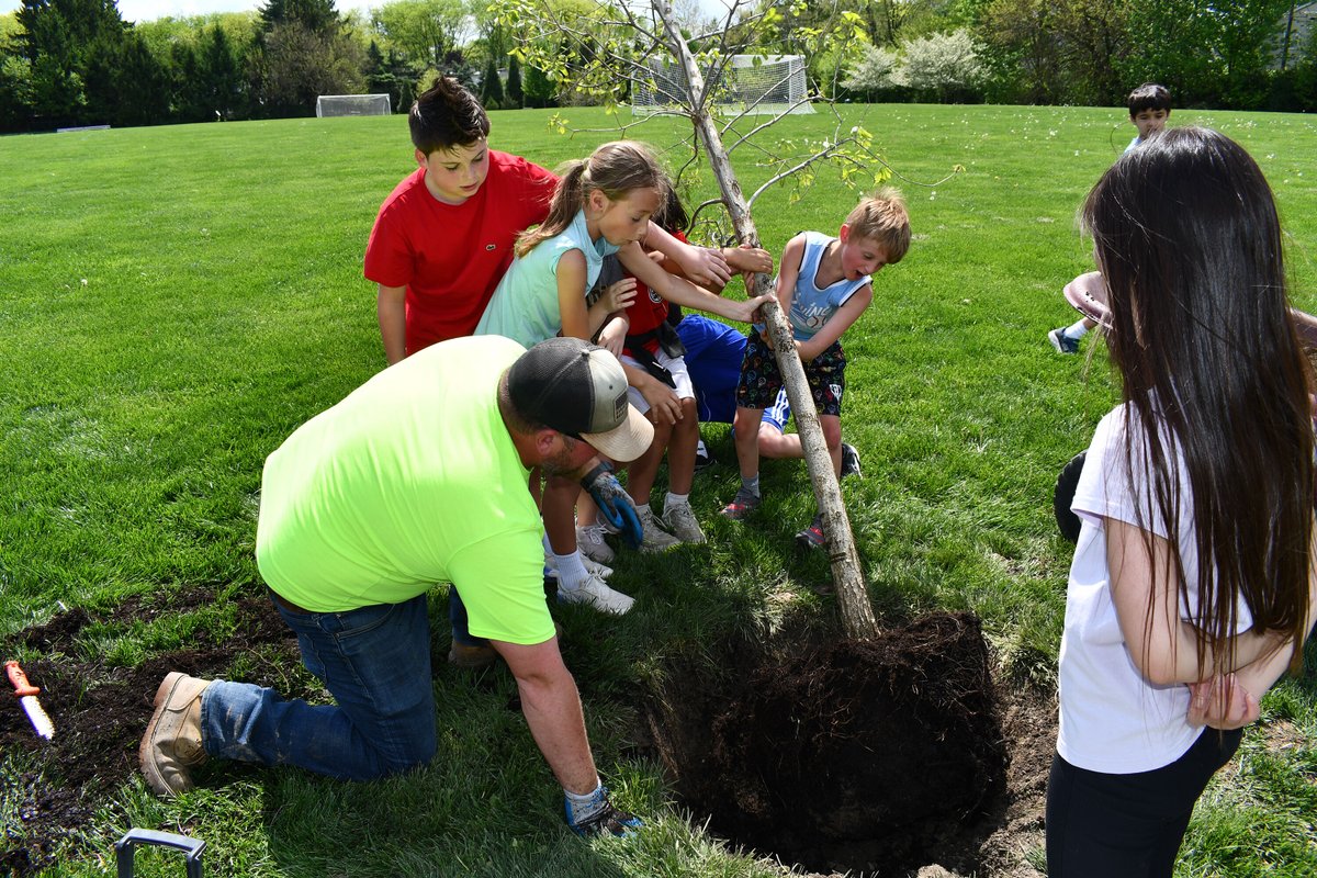 CityofUA's tweet image. Planting roots for the future! 🌳 💚 Greensview Middle School students recently joined City Council and Parks &amp;amp; Recreation staff to plant four Chinquapin Oak trees at Sunny 95 Park. They are part of a 17-species native grove honoring Ohio as the 17th state. #ArborDay #America250