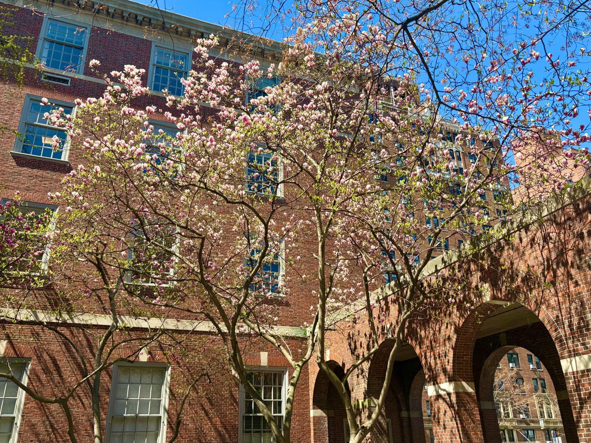 nyulaw's tweet photo. It’s the last day of classes for Spring 2026. 🌸 Thank you for another great semester. Good luck with exams!

Photos by ©Hollenshead: Courtesy of NYU Photo Bureau https://t.co/MYpFj14Ced