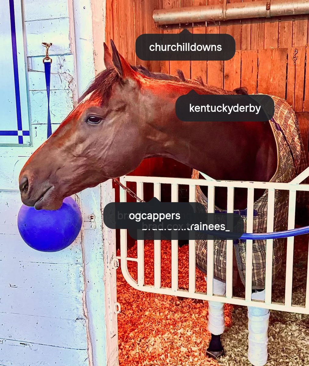 O.G. CAPPERS tweet media