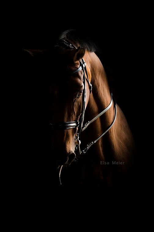 ملكة العفاف tweet media