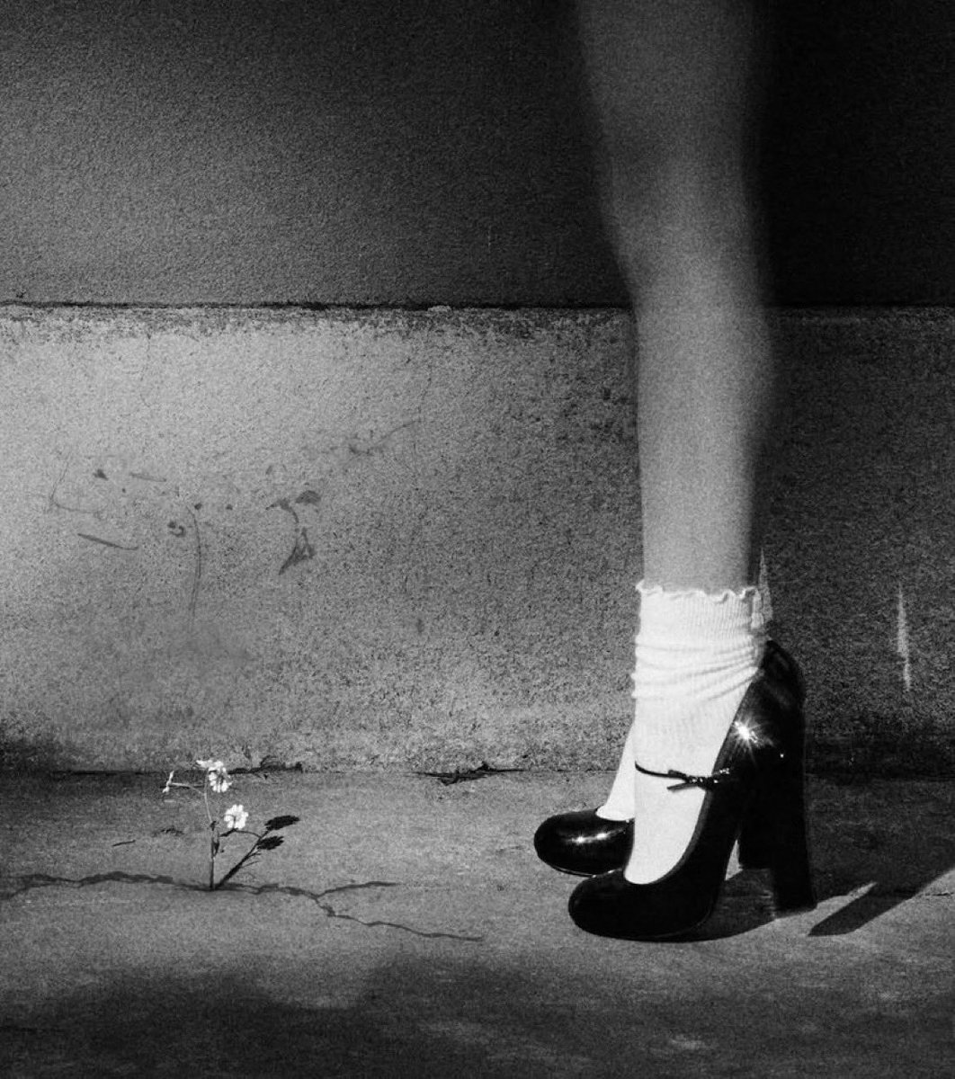 official donut lickers ⋆˙ꕤ˙⋆ tweet media