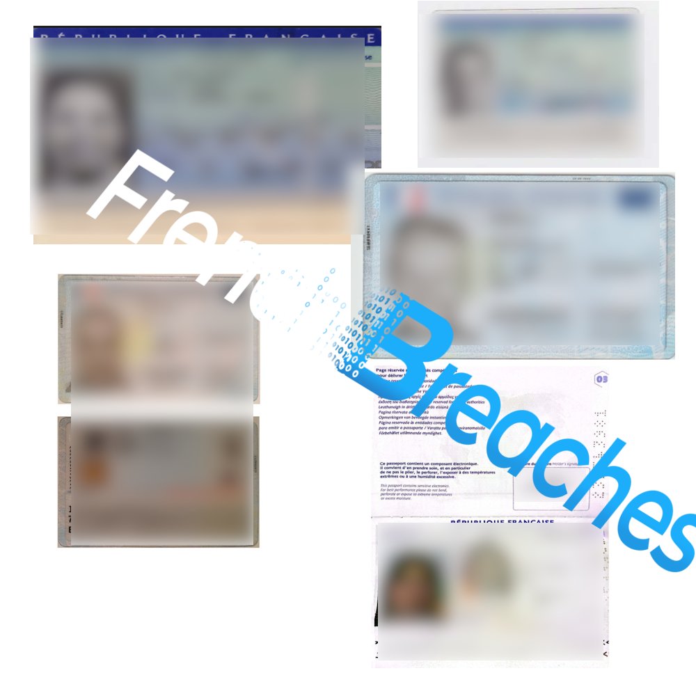 seblatombe's tweet image. 🔴🇫🇷 Un hacker vend plus de 200 000 cartes d’identité, passeports, cartes Vitale, IBAN et autres documents sensibles de Français (66 Go de données).

Fuite issue du groupe Nemea, qui a conservé ces documents pendant 3 ans.

Allô la CNIL ?!