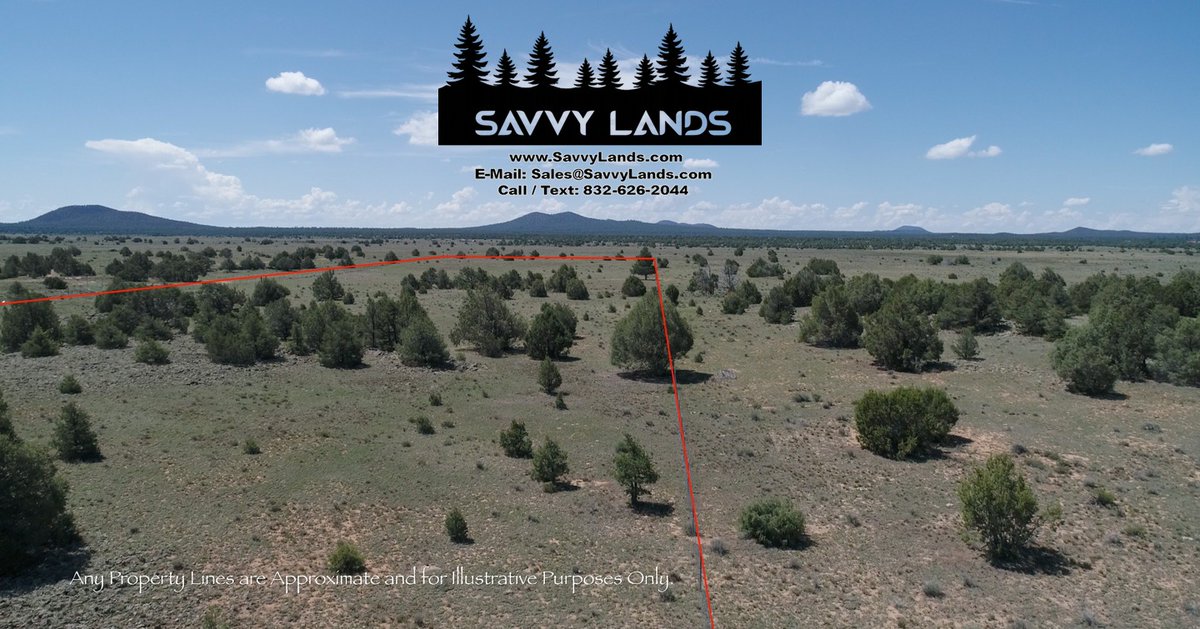 SavvyLandsUSA's tweet image. This Cibola County parcel offers privacy, open terrain, and a chance to own affordable New Mexico land with room to roam. 

#SavvyLands #SavvyLandsUSA #LandForSale #AffordableLand #CibolaCounty #LandOwnership

savvylands.com/tierraverdelot…