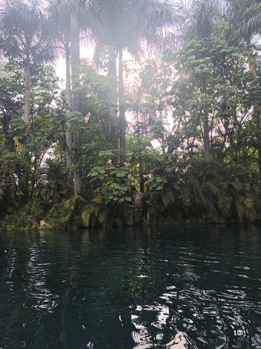 _Psike_'s tweet photo. Haiku #30 

Un río frío, 
Suaves son las corrientes 
Que no regresan. 

Chau. 

"You can clean around the wound
But if you want it to heal
It just takes time

And that's alright
There's a certain calm" https://t.co/gqsDHwnv3X