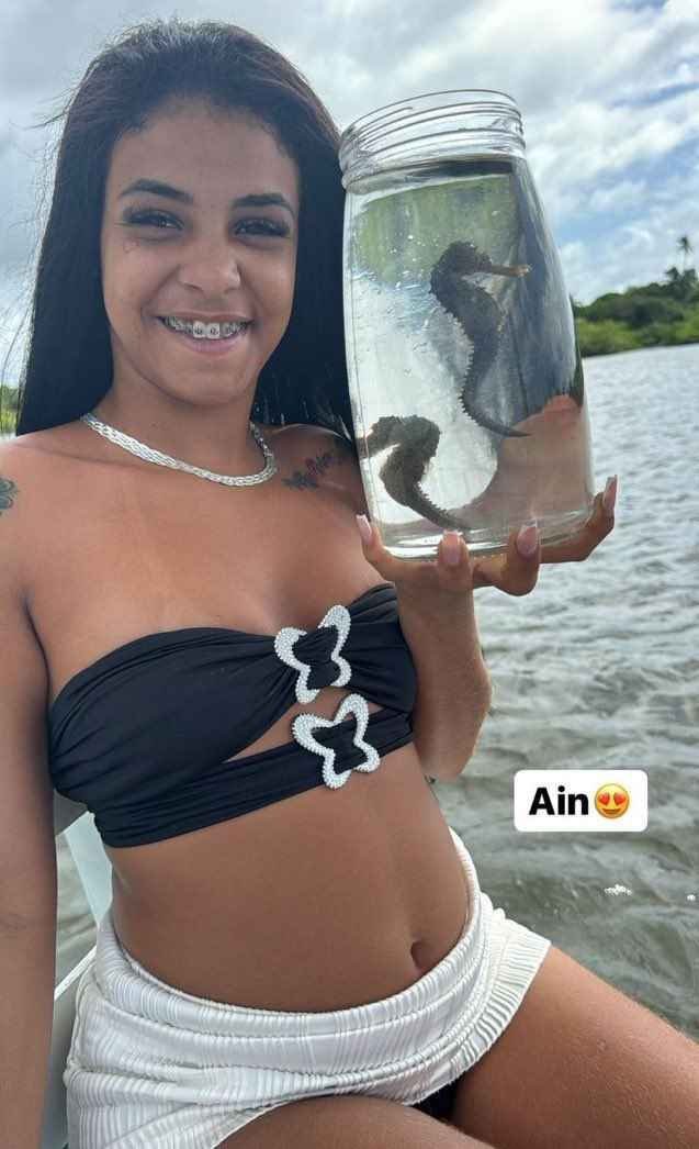 Maconhy_org.veg tweet media