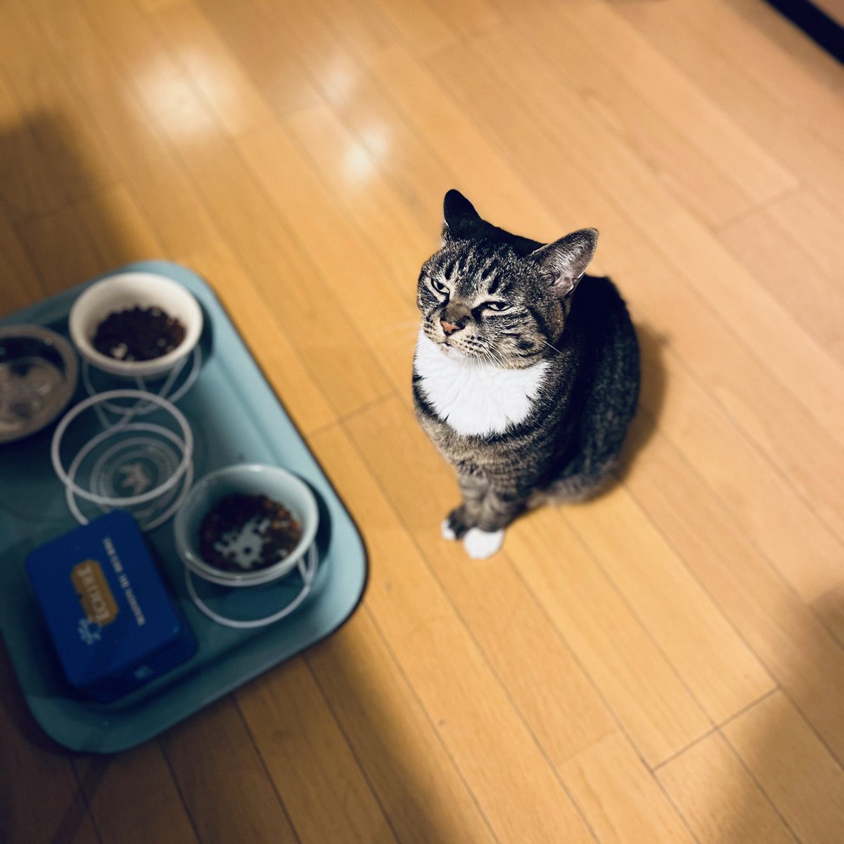 庄野ナホコ tweet media