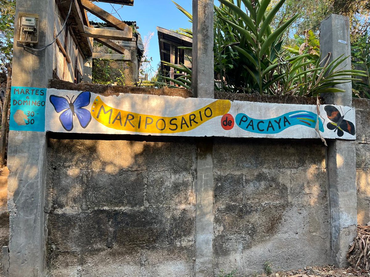 Embajada del Japón en Nicaragua/在ニカラグア日本国大使館 tweet media