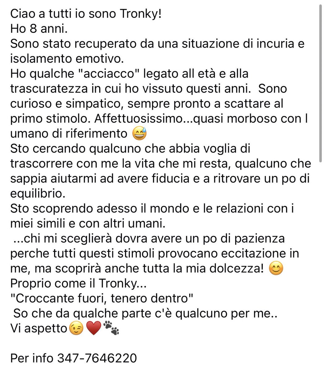 federica corsi tweet media