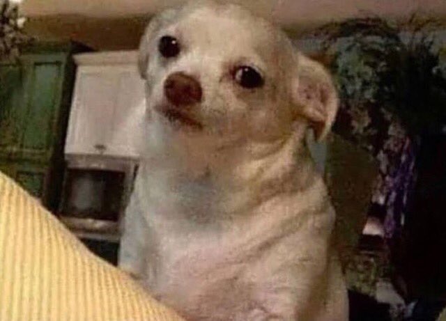 flyers fans: the penguins are actually the mean ones 😔

the entire city of pittsburgh: