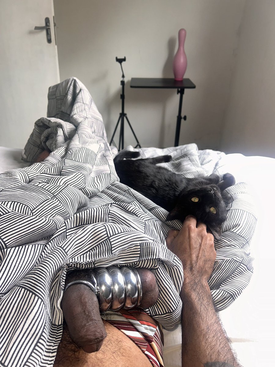 BrazilBallst tweet media