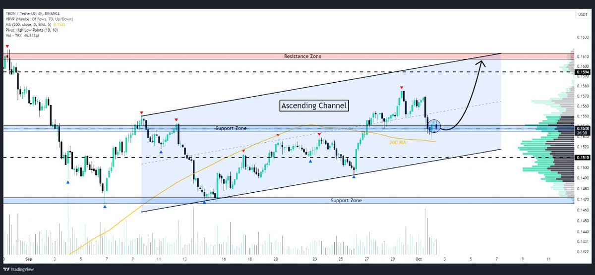 WHALES_CRYPTOt's tweet image. #TRX

Tron has gained attention following its meme coin platform launch
If upward trend continues, we could see price move towards resistance target at $0.60🎯

👇Crypto Traders-join Telegram👇 

t.me/Whales_Crypto_… 
.