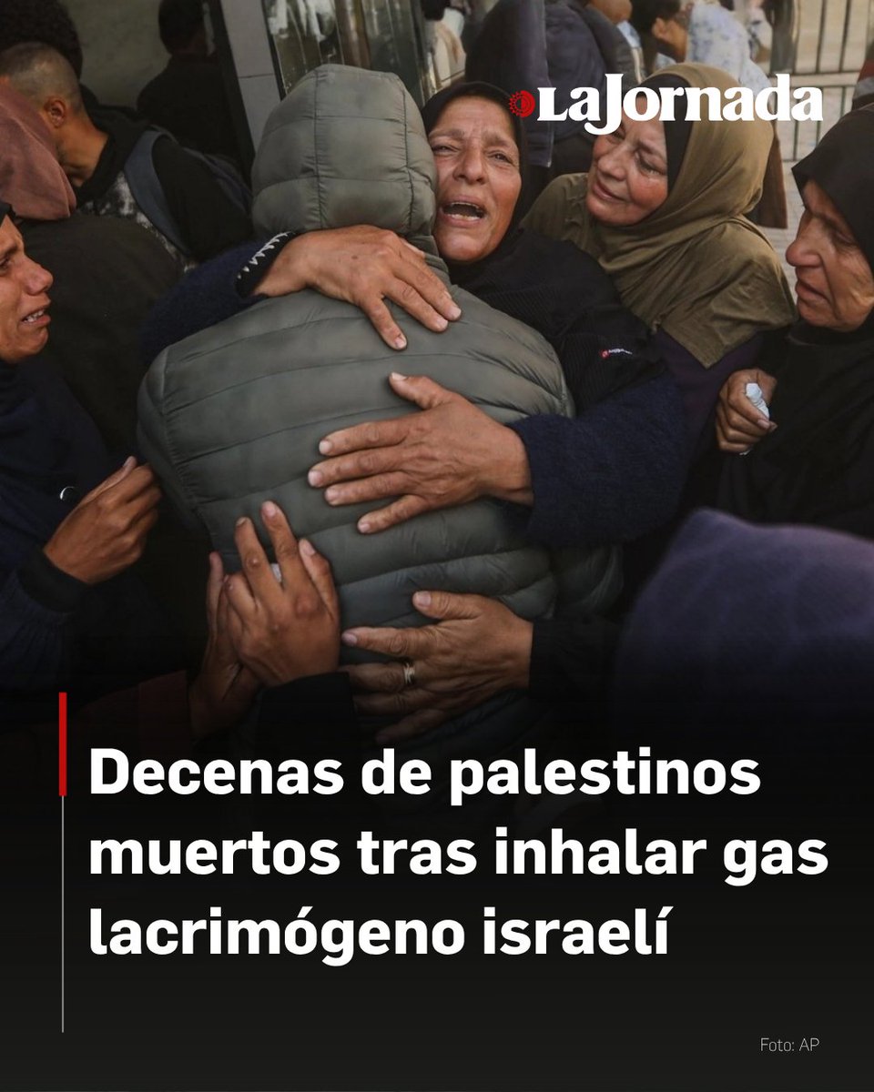 La violencia en los territorios palestinos ha dejado decenas de muertos por asfixia tras una redada israelí en Hebrón, así como el asesinato de un menor de 15 años en el norte de la Franja de Gaza, según reportes de la agencia Wafa.

Estas víctimas se suman a los 817 palestinos