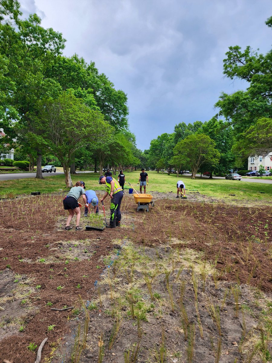City of Norfolk, VA tweet media