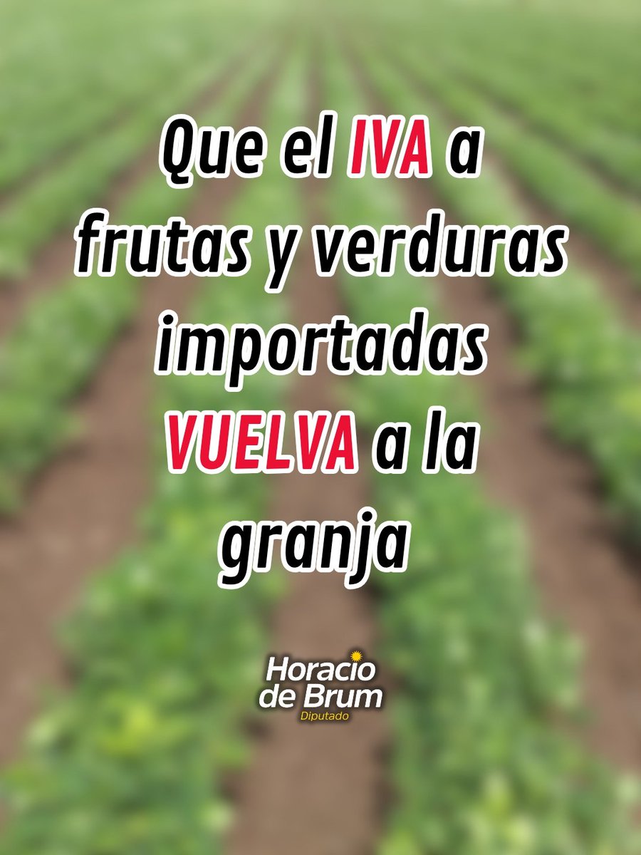 Diputado Horacio de Brum tweet media