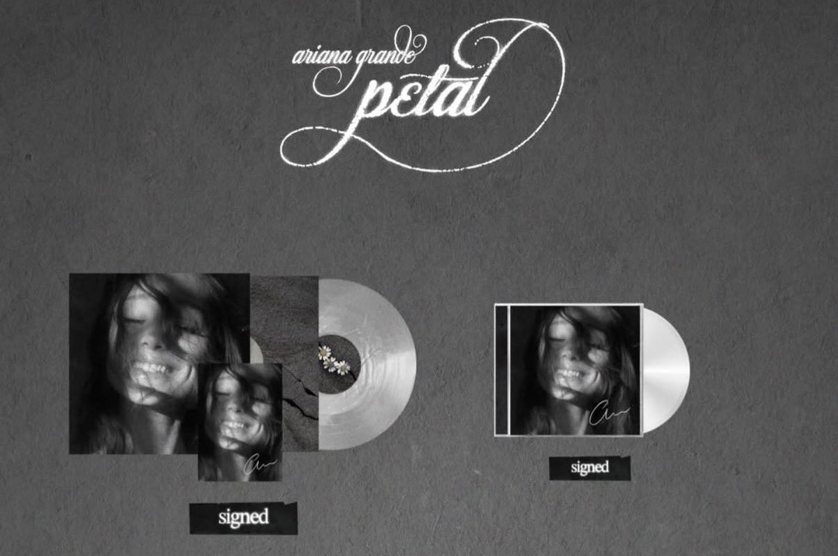 kay ꕤ🫧 tweet media