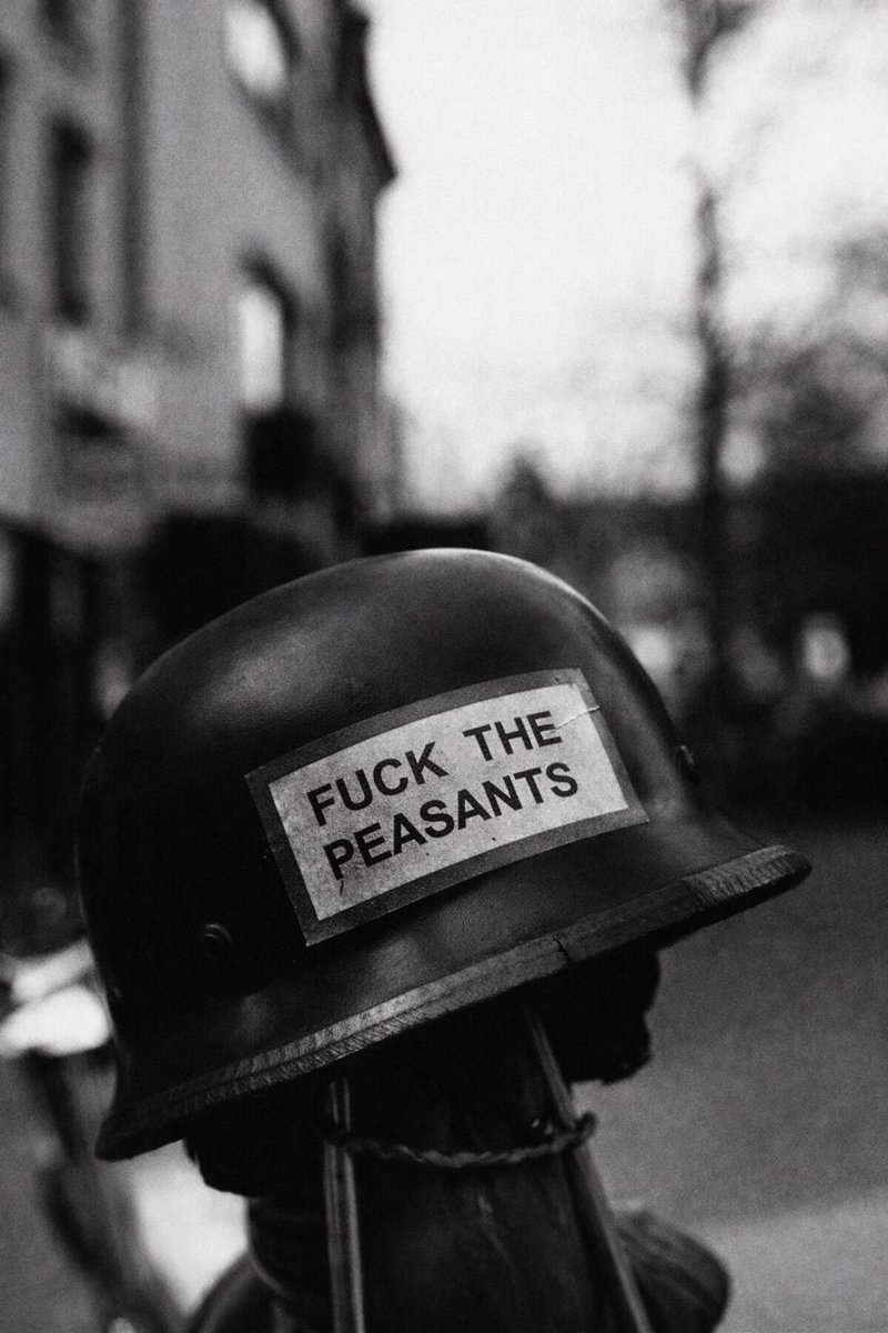 LHGrey™️ tweet media