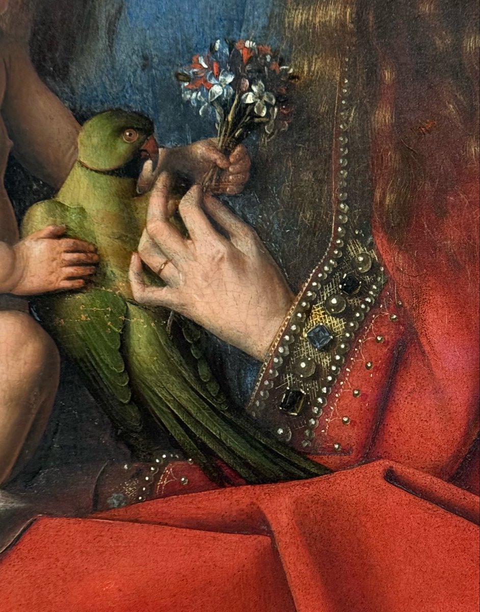 Nicolas Milovanovic tweet media