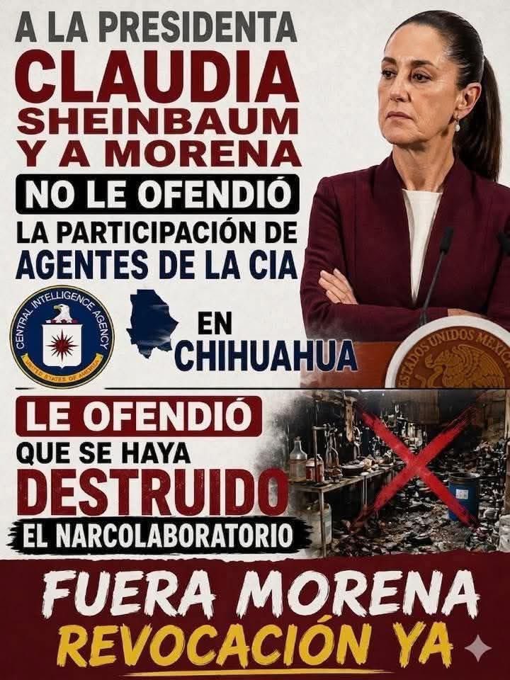 cesar_zx3's tweet photo. @PartidoMorenaMx https://t.co/p6hrHxFVxy
