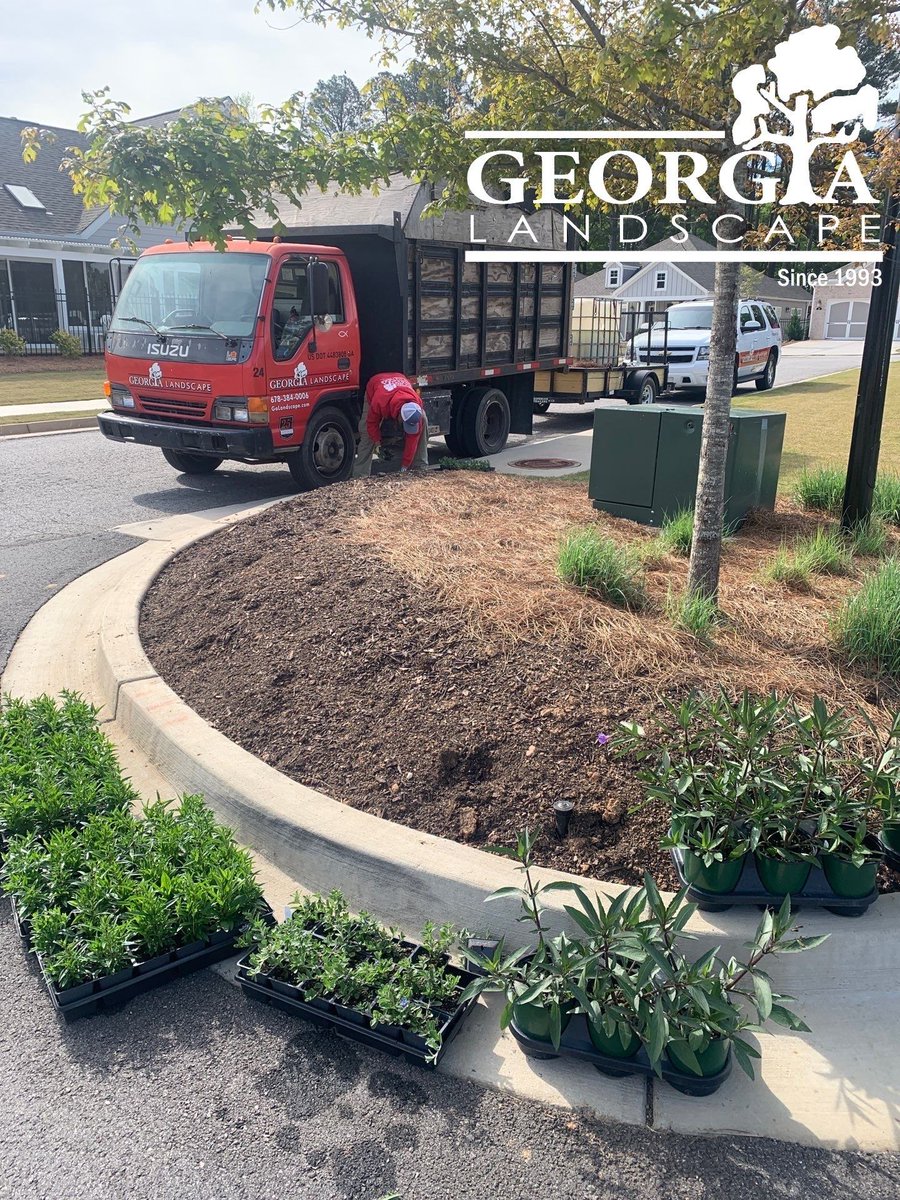 Georgia Landscape tweet media