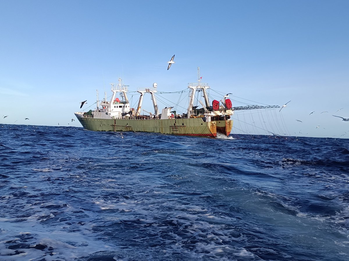 Falklands FishOps tweet media