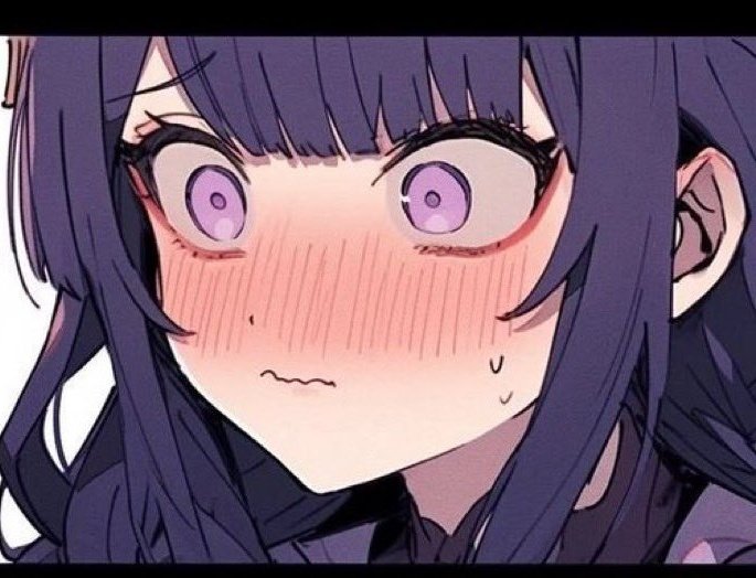 Himeko / Raiden Ei tweet media