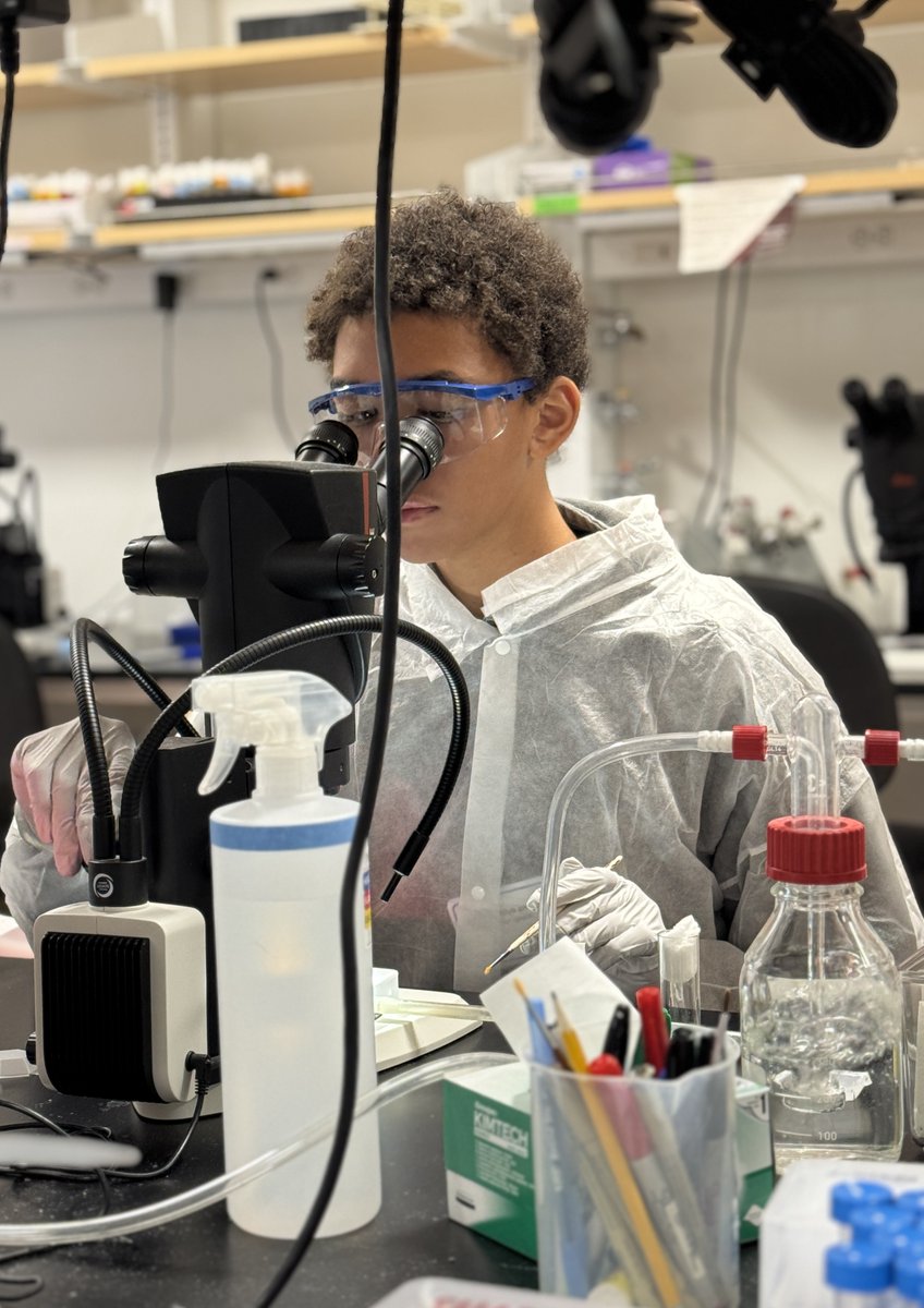 WhiteheadInst's tweet photo. Our Spring Lecture Series for High School Students returned for another successful year! 

Over the course of three days, 43 students participated in hands-on experiments, interactive lab modules, and had conversations with scientists to get a feel for how research unfolds. https://t.co/s7GlbAOOnz