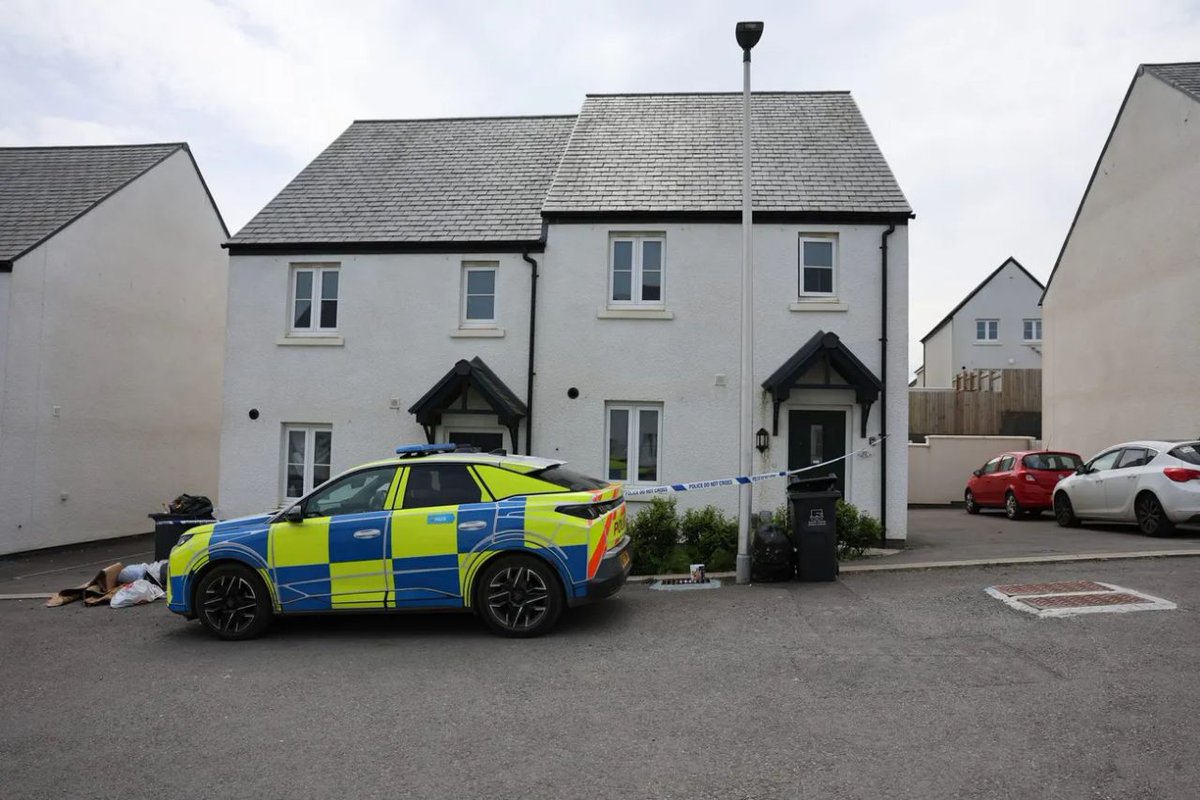 Tommy Robinson 🇬🇧 tweet media