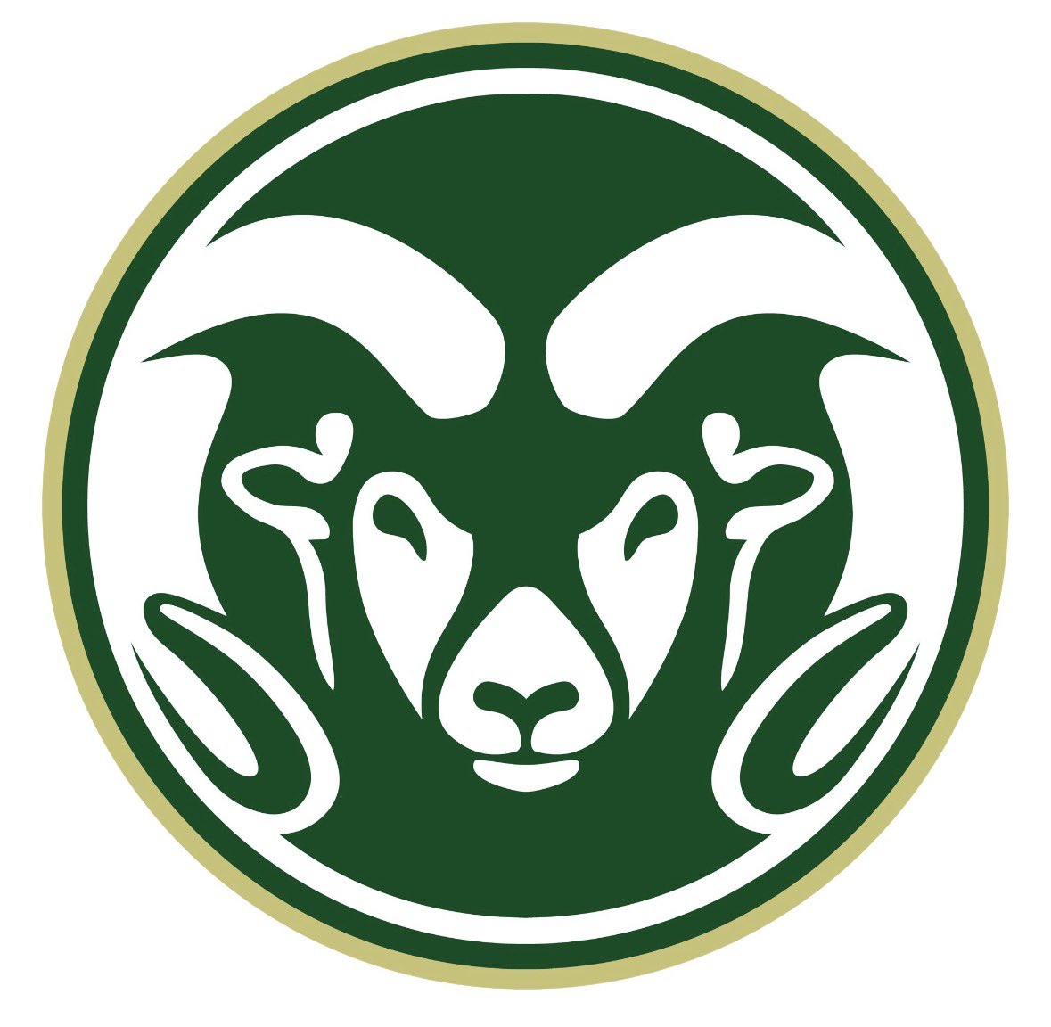 Cordey Sherman tweet media