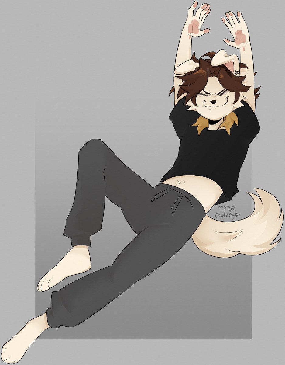 MOTORDOODLE★ tweet media