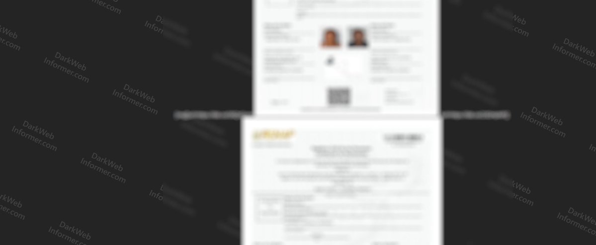 Dark Web Informer tweet media