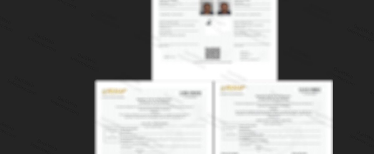 Dark Web Informer tweet media