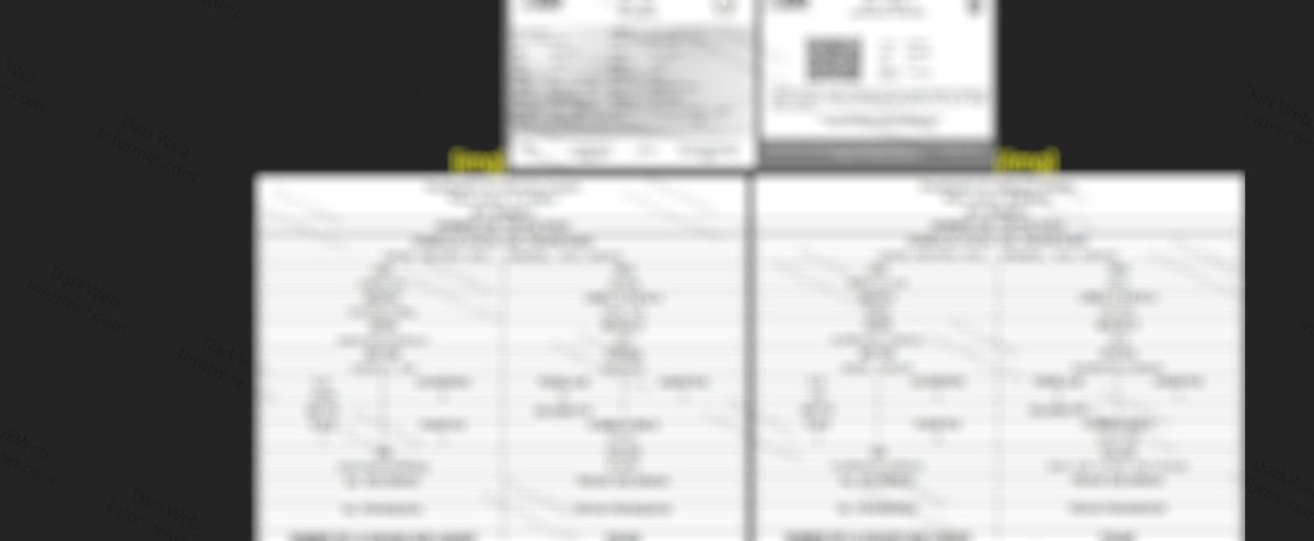 Dark Web Informer tweet media